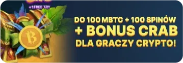 Wazamba kryptowalut Kasyno