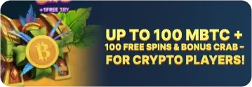 Crypto Wazamba